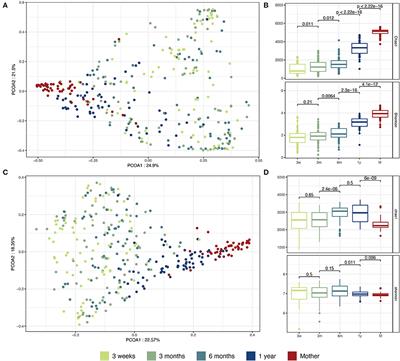 Bacteroides abundance drives birth mode dependent infant gut microbiota developmental trajectories